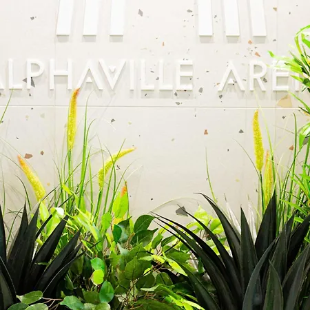 Mohost View - Mountain Escape In * Brassó