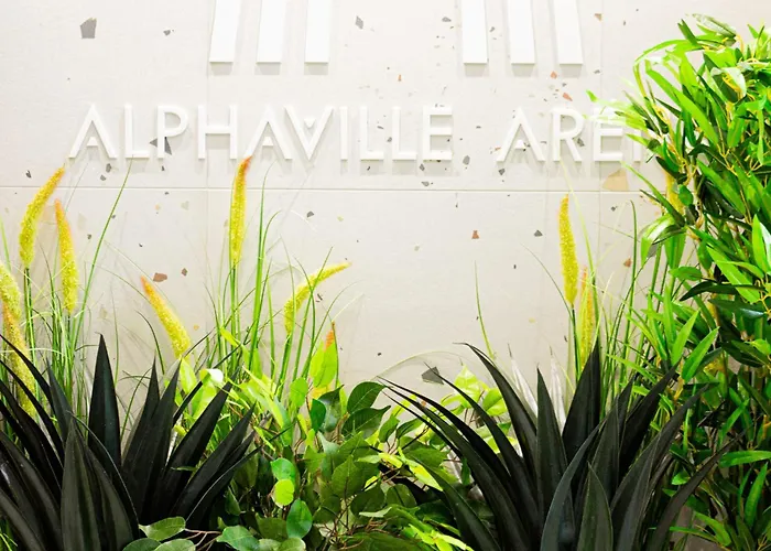 Mohost View - Mountain Escape In * Brassó