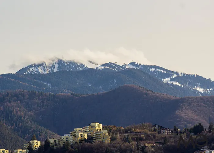 Mohost View - Mountain Escape In